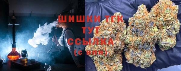 ГАЛЛЮЦИНОГЕННЫЕ ГРИБЫ Богородицк