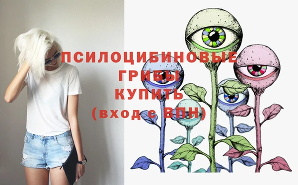 ГАЛЛЮЦИНОГЕННЫЕ ГРИБЫ Богородицк